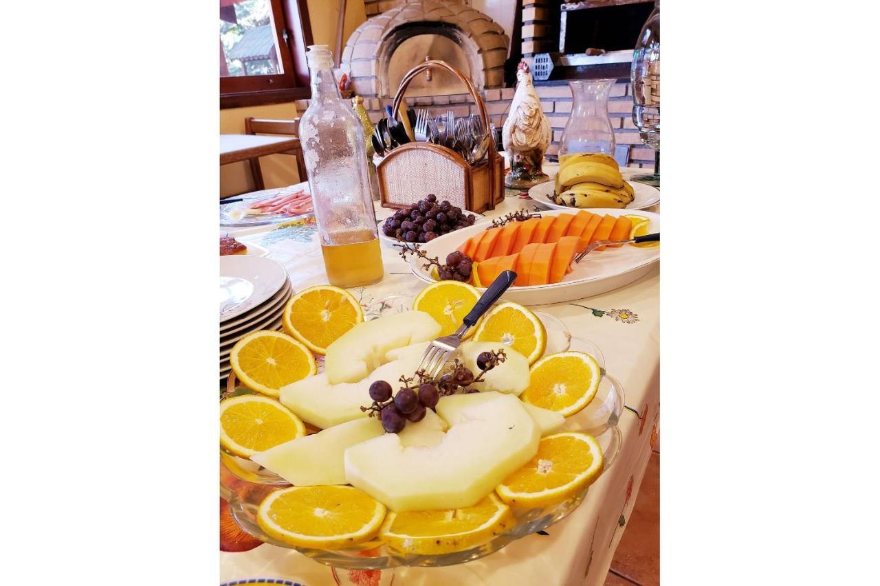 Mansao Austriaca Guesthouse Campos do Jordão 外观 照片